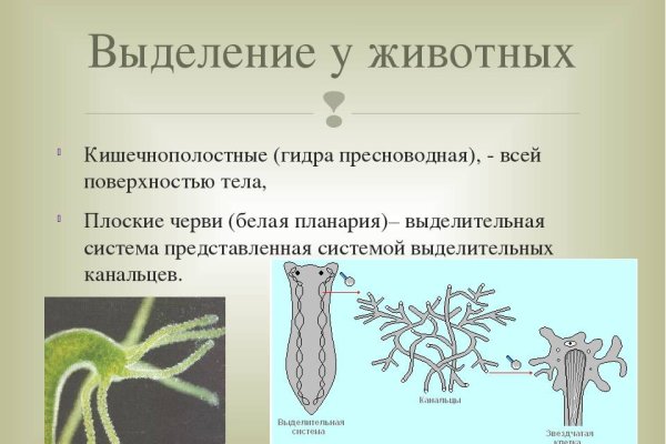 Даркнет официальный сайт вход