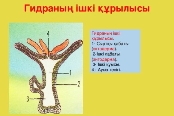 Кракен это сайт